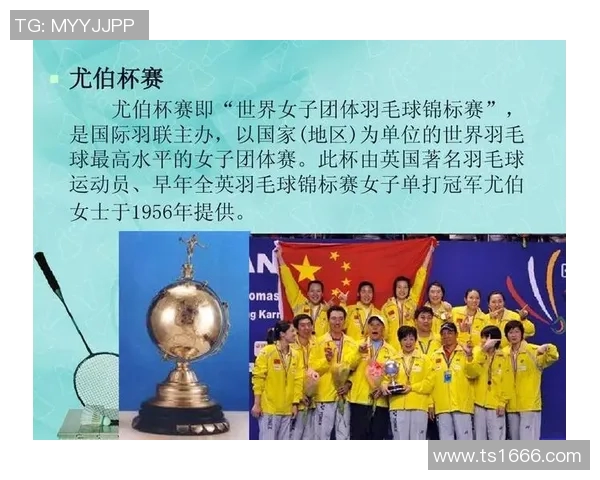 羽毛球的梦想与坚持：上海羽毛球队成长历程的真实记录与反思