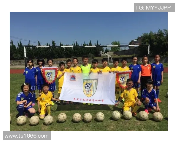 南京足球队的崛起与发展探讨展现城市足球的无限潜力与激情